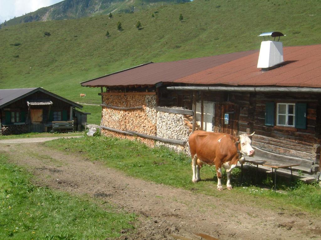 Haus Brügglbach Apartamento Kirchberg in Tirol Exterior foto